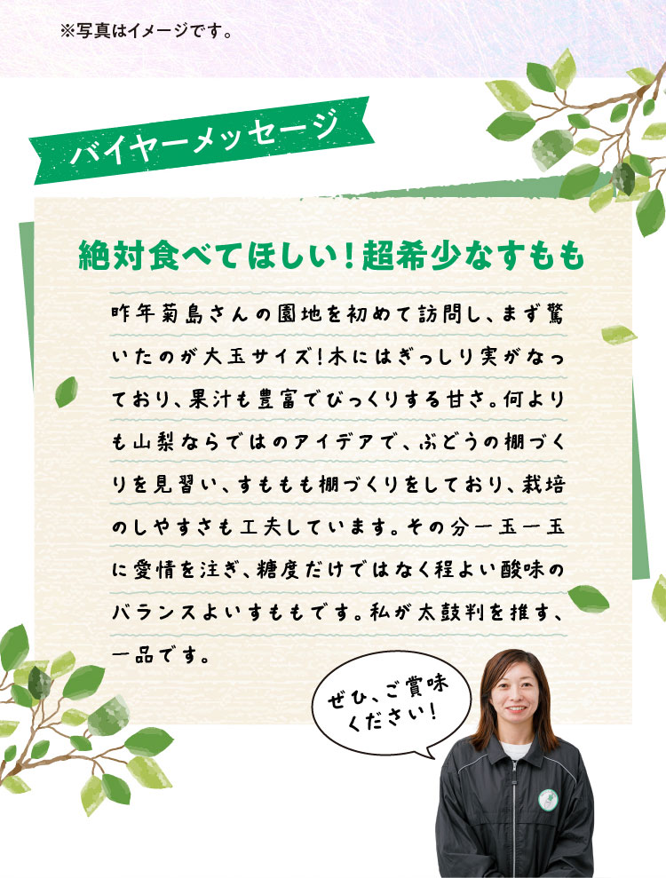 【産地直送】菊島さんの『大玉すもも 貴陽』（山梨県産）