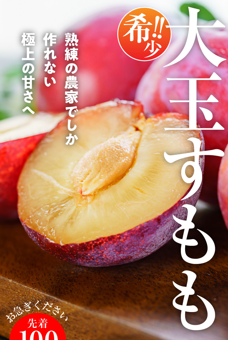 【産地直送】菊島さんの『大玉すもも 貴陽』（山梨県産）