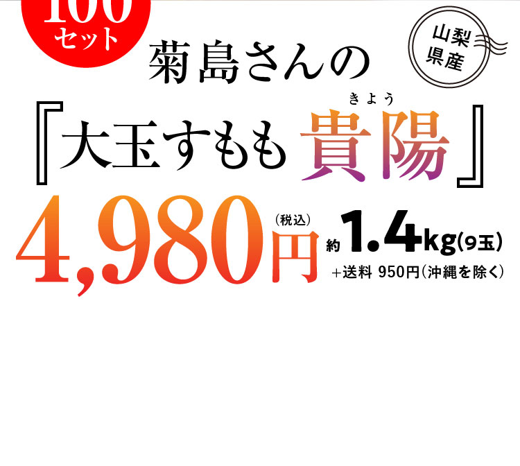 【産地直送】菊島さんの『大玉すもも 貴陽』（山梨県産）