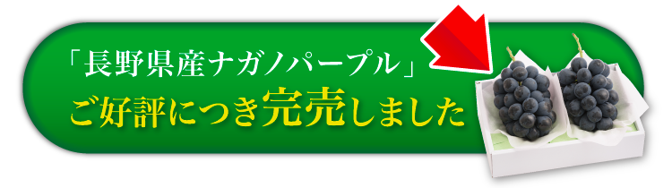 【産地直送】ナガノパープル 2房（長野県産）