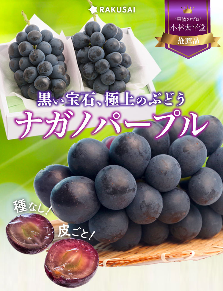 【産地直送】ナガノパープル 2房（長野県産）