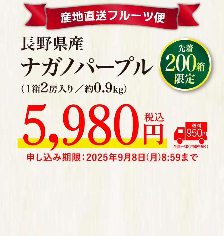 【産地直送】ナガノパープル 2房（長野県産）