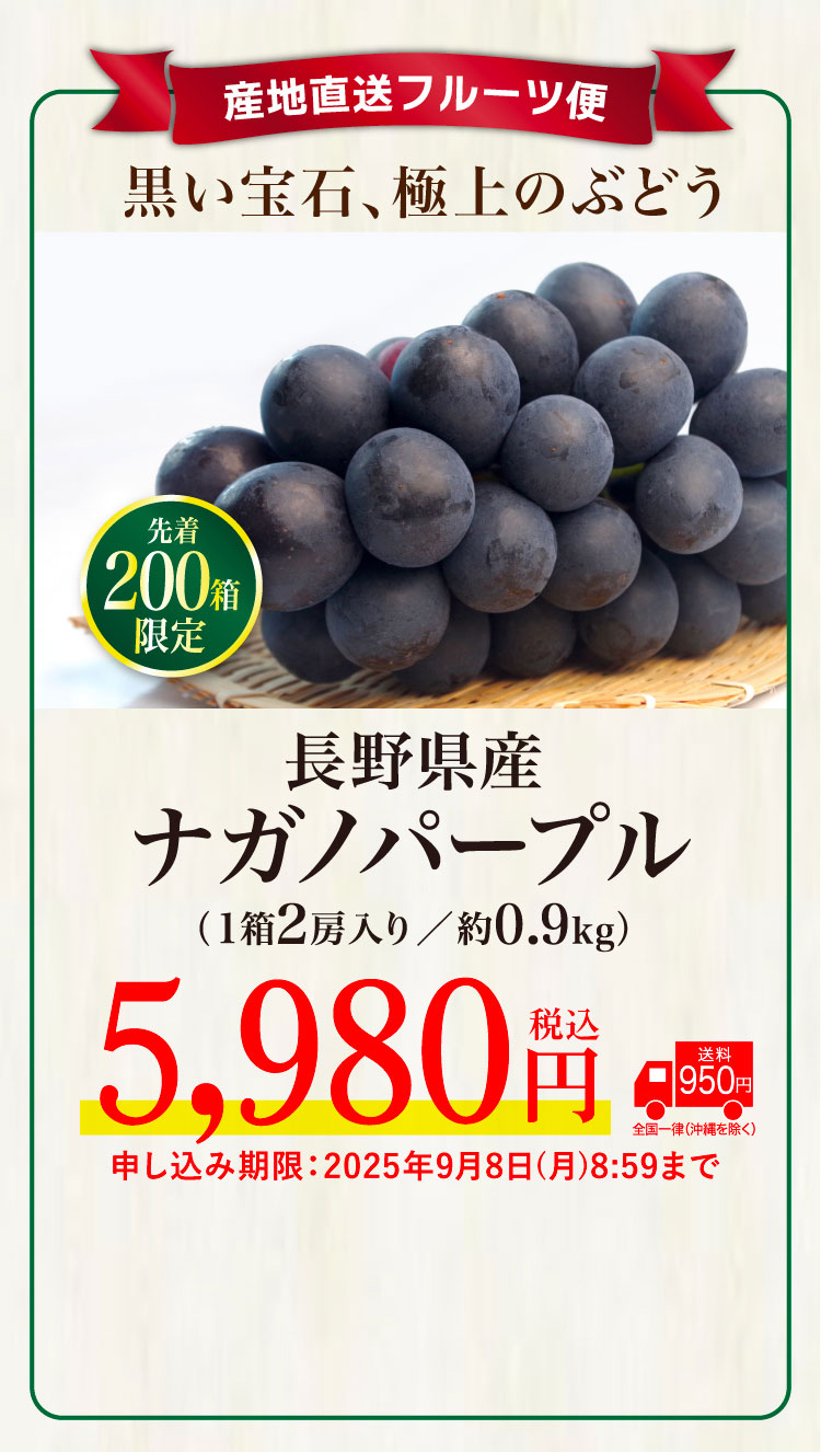 【産地直送】ナガノパープル 2房（長野県産）