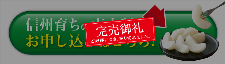 【バイヤー厳選】信州育ちの南水梨 約2.5kg（南信州）