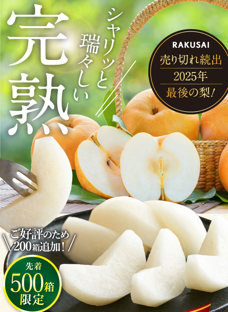 【バイヤー厳選】信州育ちの南水梨 約2.5kg（南信州）