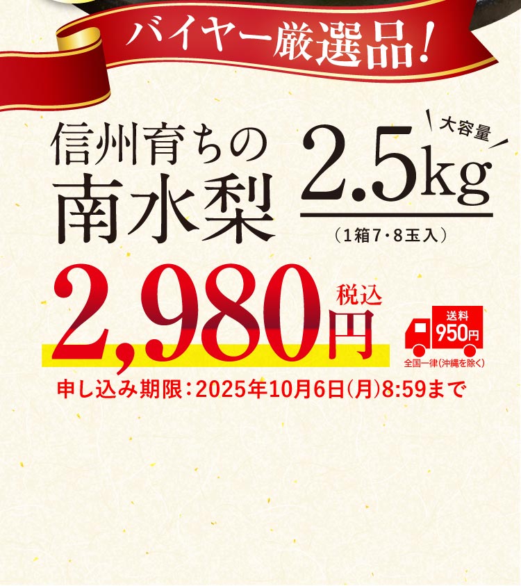 【バイヤー厳選】信州育ちの南水梨 約2.5kg（南信州）