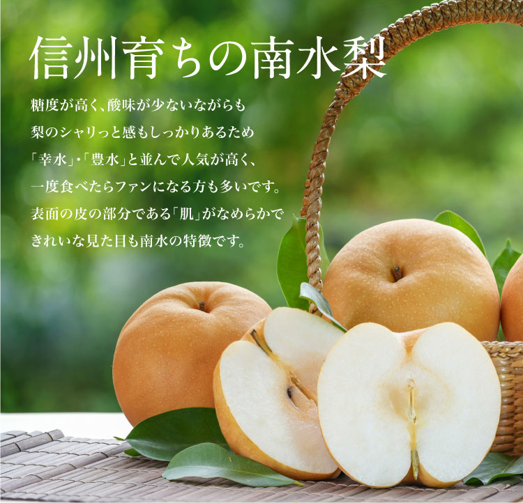 【バイヤー厳選】信州育ちの南水梨 約2.5kg（南信州）