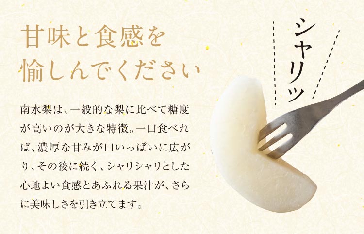 【バイヤー厳選】信州育ちの南水梨 約2.5kg（南信州）