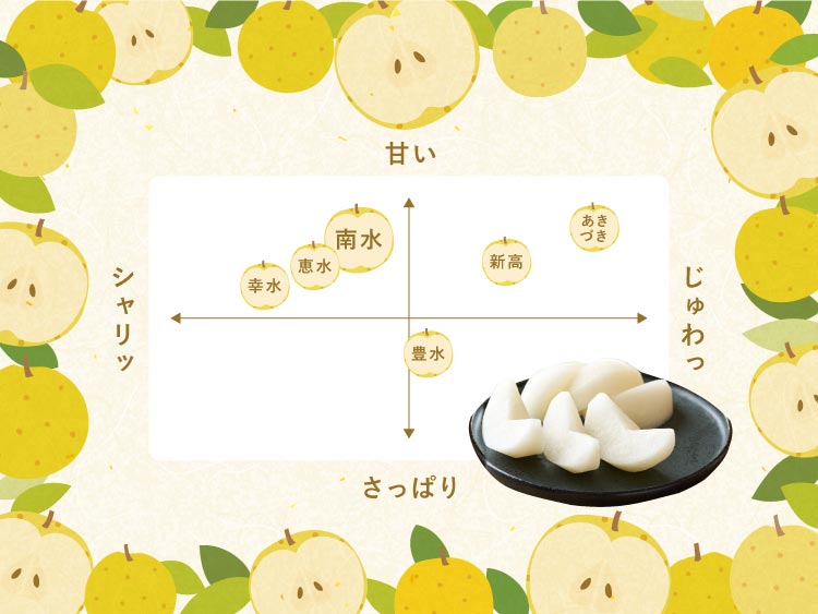 【バイヤー厳選】信州育ちの南水梨 約2.5kg（南信州）