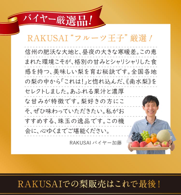 【バイヤー厳選】信州育ちの南水梨 約2.5kg（南信州）