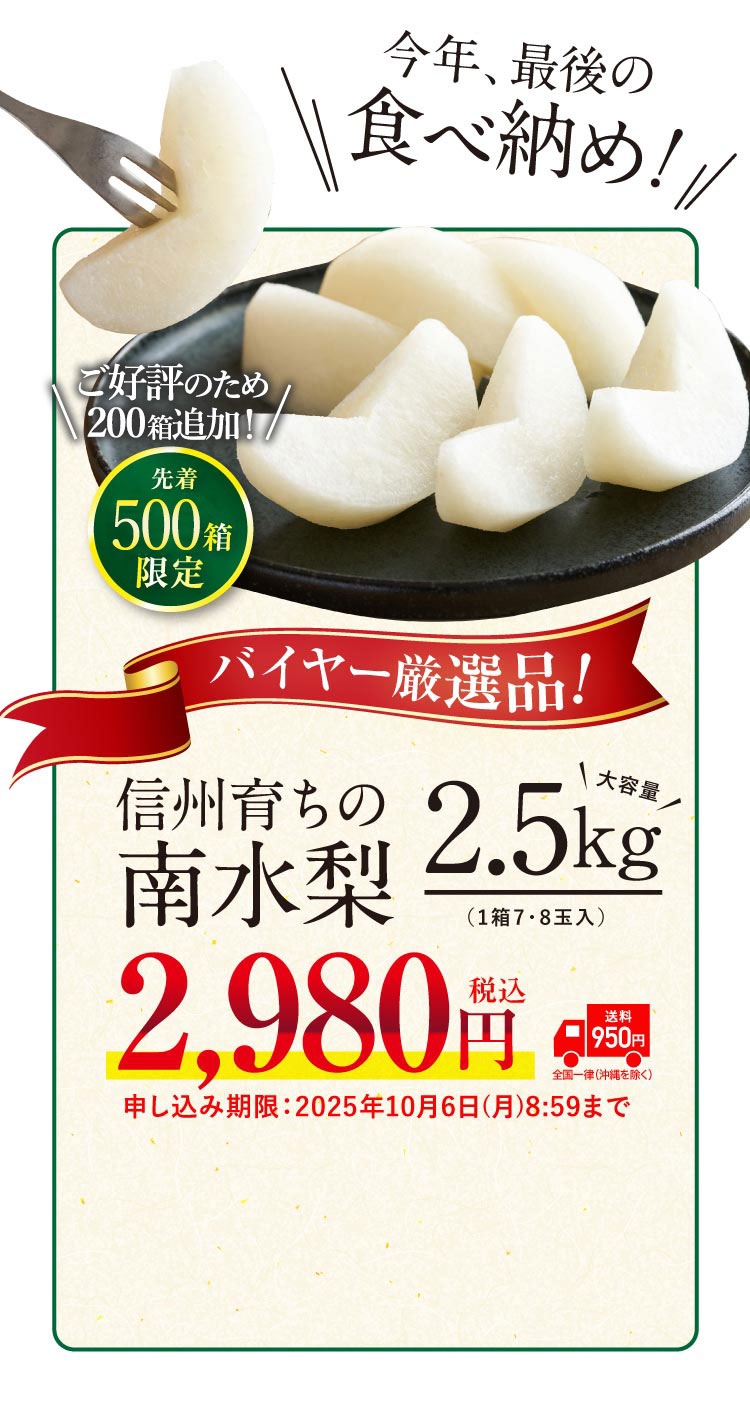 【バイヤー厳選】信州育ちの南水梨 約2.5kg（南信州）