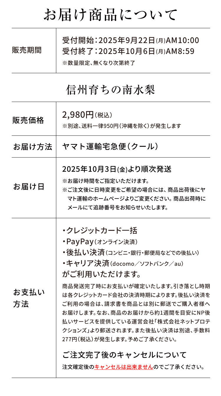 【バイヤー厳選】信州育ちの南水梨 約2.5kg（南信州）