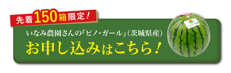 【バイヤー厳選】いなみ農園さんの『ピノ・ガール』（茨城県産）