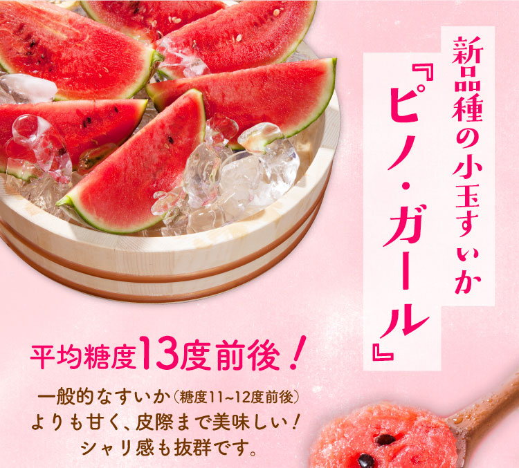 【バイヤー厳選】種まで食べられる！ピノ・ガール（山形県産）
