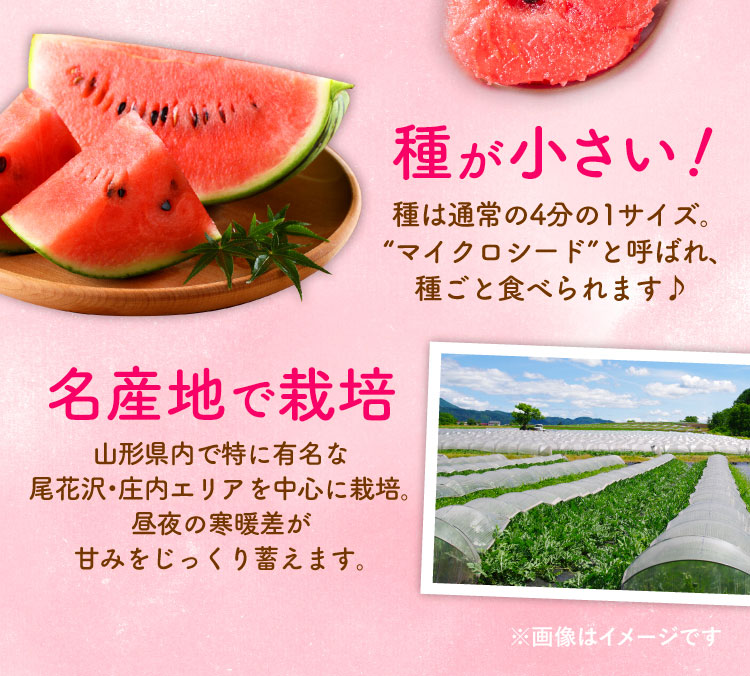 【バイヤー厳選】種まで食べられる！ピノ・ガール（山形県産）
