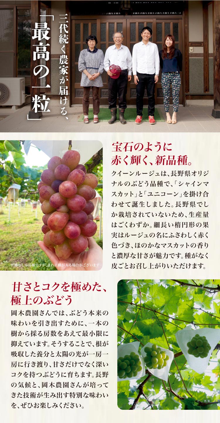 【産地直送】岡木農園さんのクイーンルージュ（長野県産）