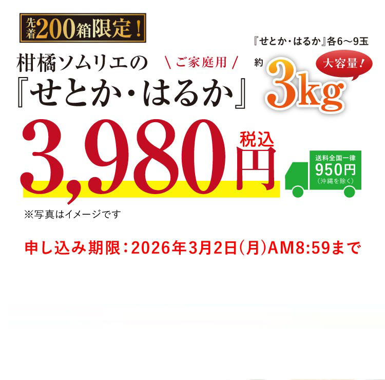 【産地直送】柑橘ソムリエの『せとか・はるか（ご家庭用）』（愛媛県産）