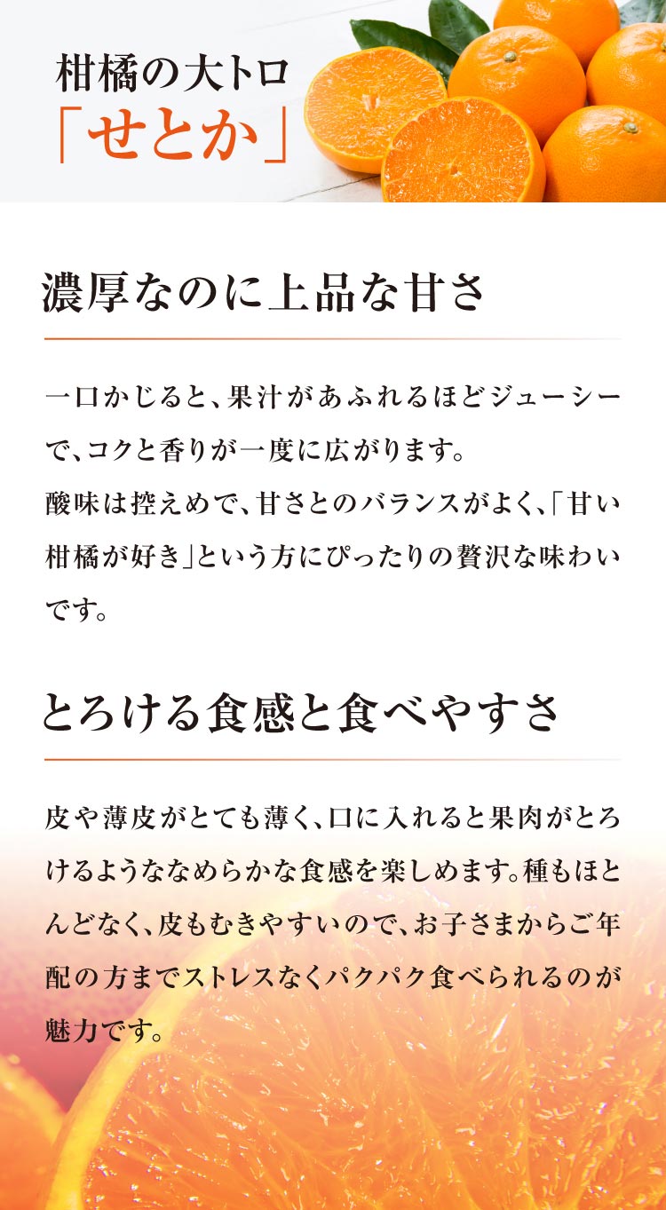 【産地直送】柑橘ソムリエの『せとか・はるか（ご家庭用）』（愛媛県産）