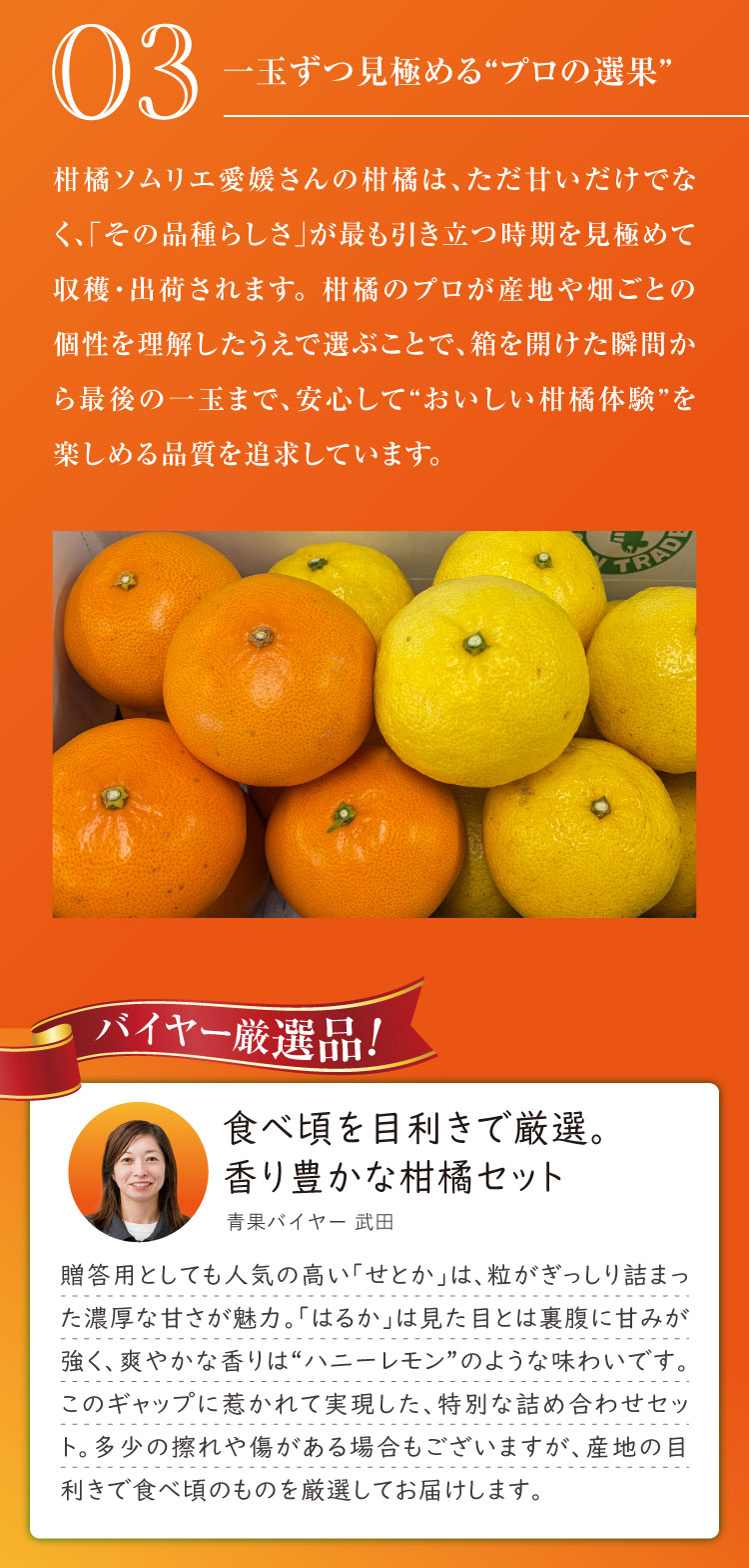 【産地直送】柑橘ソムリエの『せとか・はるか（ご家庭用）』（愛媛県産）