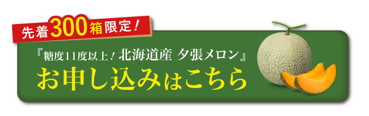 【バイヤー厳選】糖度11度以上！夕張メロン（北海道産）