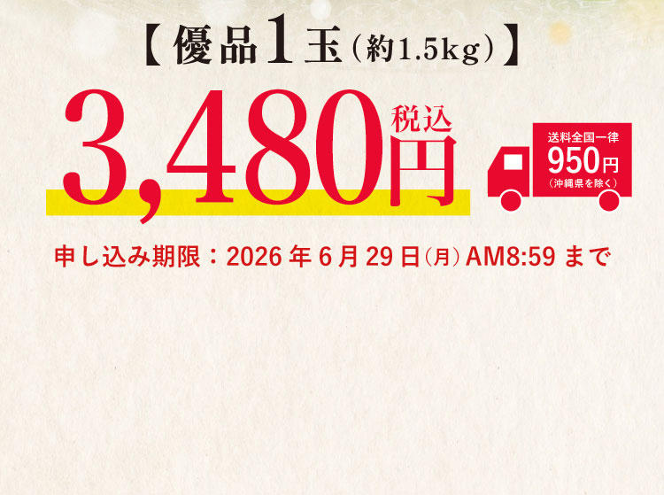【バイヤー厳選】糖度11度以上！夕張メロン（北海道産）