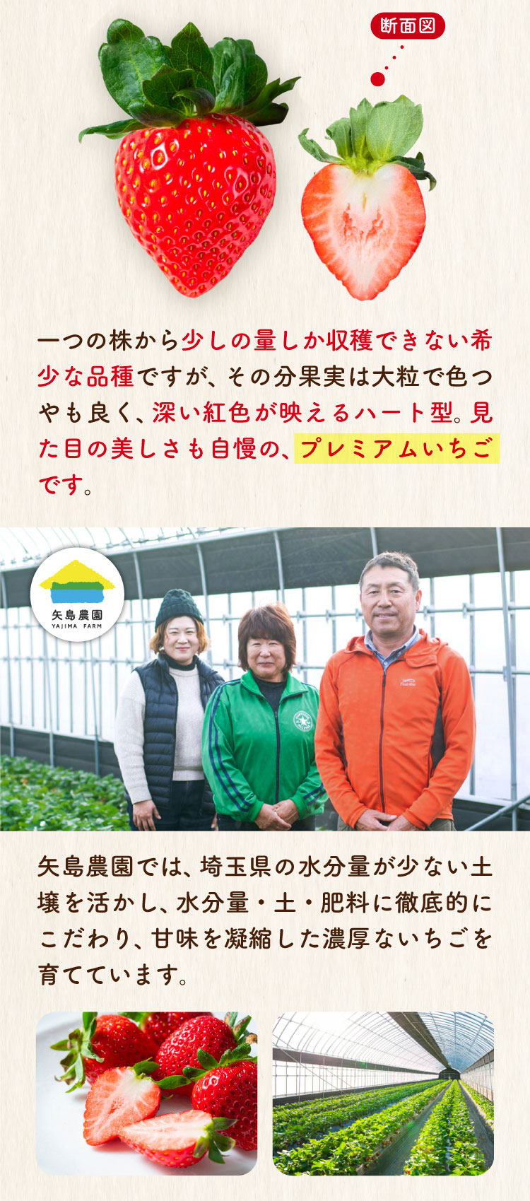 【産地直送】矢島農園さんのいちご『彩のあまりん』（埼玉県産）