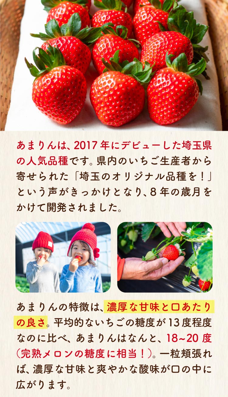 【産地直送】矢島農園さんのいちご『彩のあまりん』（埼玉県産）