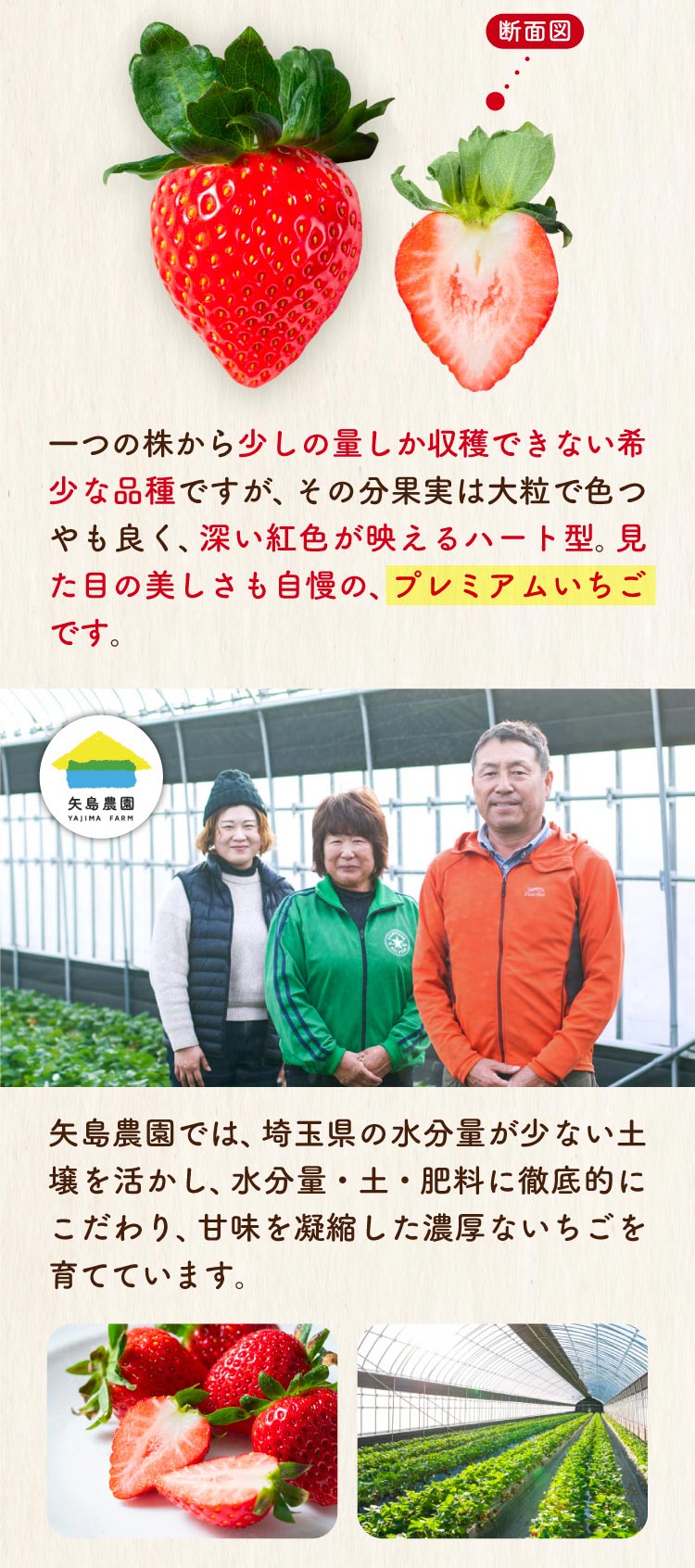 【産地直送】矢島農園さんのいちご『彩のあまりん』（埼玉県産）