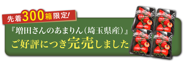 【産地直送】増田さんのいちご『あまりん』（埼玉県産）