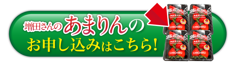 【産地直送】増田さんのいちご『あまりん』（埼玉県産）