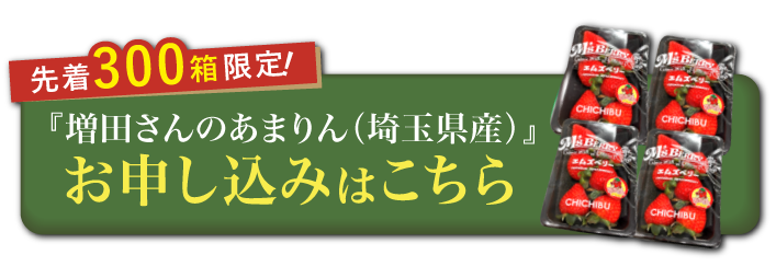 【産地直送】増田さんのいちご『あまりん』（埼玉県産）