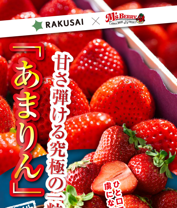 【産地直送】増田さんのいちご『あまりん』（埼玉県産）