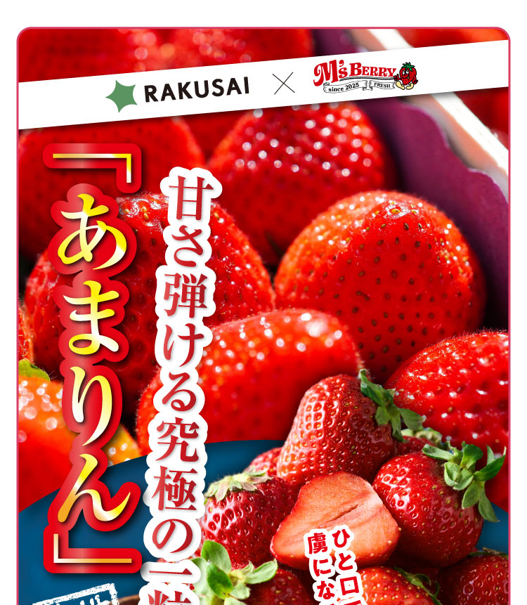 【産地直送】増田さんのいちご『あまりん』（埼玉県産）