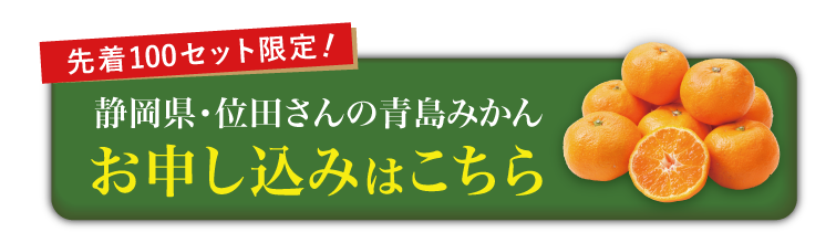 【産地直送】位田さんの青島みかん（静岡県産）