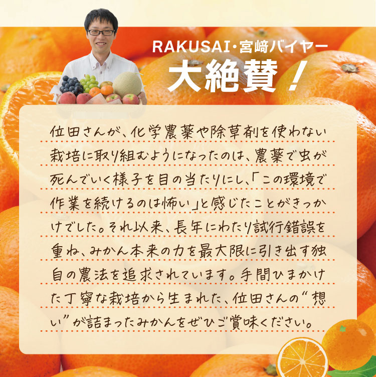 【産地直送】位田さんの青島みかん（静岡県産）