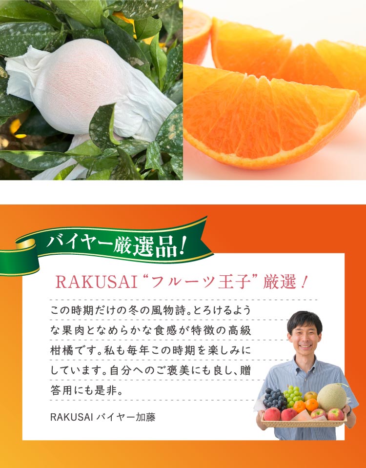 【バイヤー厳選】高級柑橘 紅まどんな（愛媛県産）