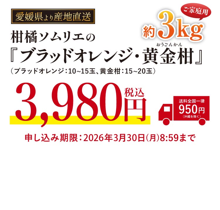 【産地直送】柑橘ソムリエの『ブラッドオレンジ・黄金柑』（愛媛県産）