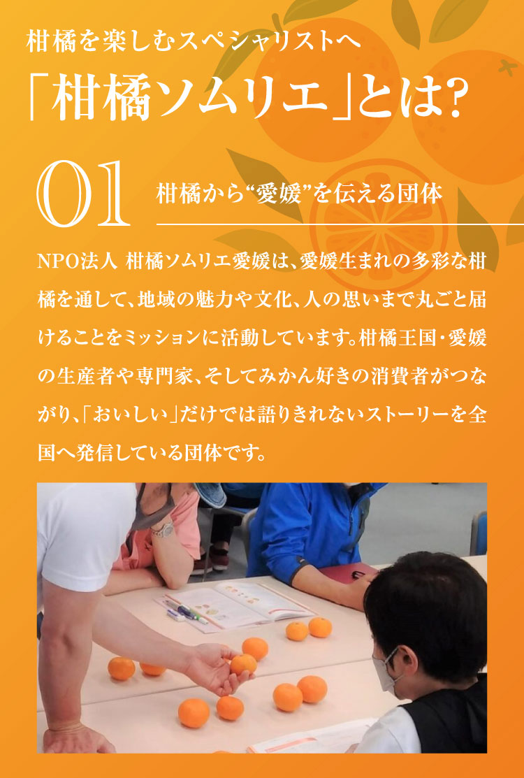【産地直送】柑橘ソムリエの『ブラッドオレンジ・黄金柑』（愛媛県産）