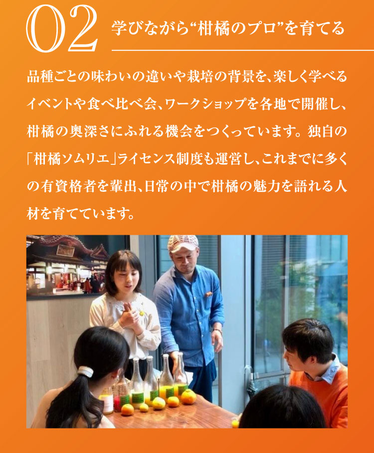 【産地直送】柑橘ソムリエの『ブラッドオレンジ・黄金柑』（愛媛県産）