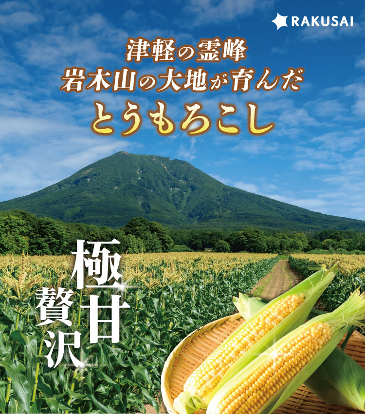 【バイヤー厳選】ブランドとうもろこし『嶽きみ』（青森県産）