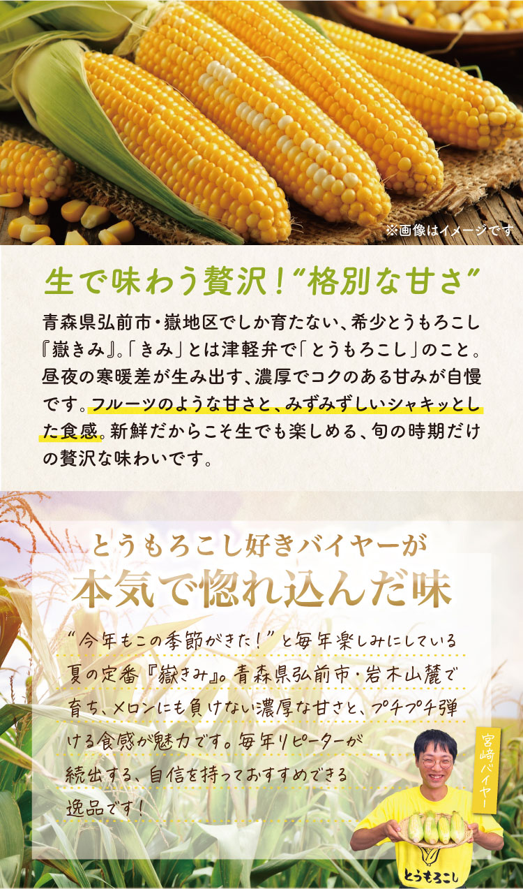 【バイヤー厳選】ブランドとうもろこし『嶽きみ』（青森県産）