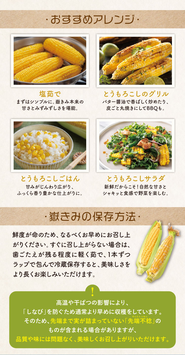 【バイヤー厳選】ブランドとうもろこし『嶽きみ』（青森県産）