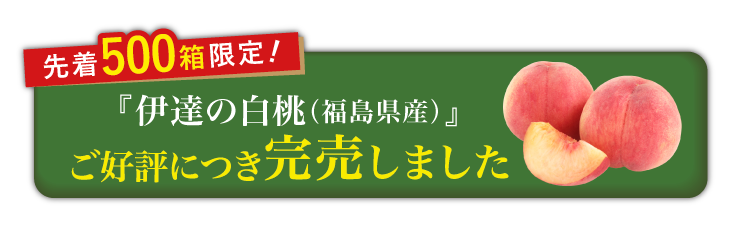 【産地直送】夏のごちそう『伊達の白桃』（福島県産）
