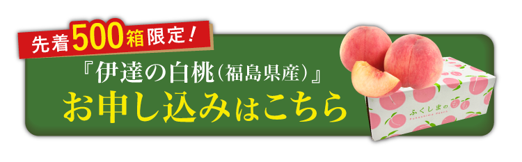 【産地直送】夏のごちそう『伊達の白桃』（福島県産）
