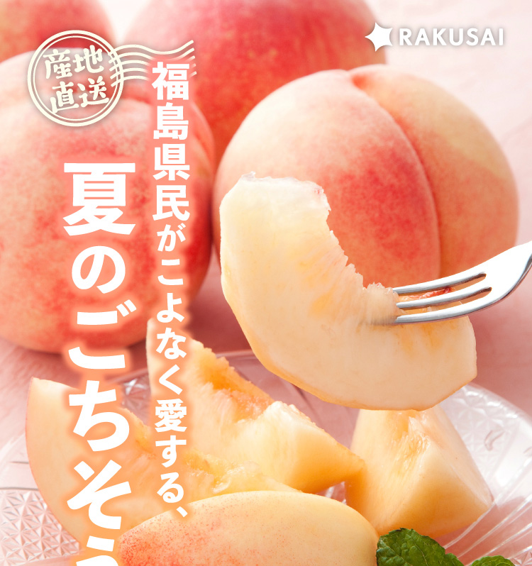 【産地直送】夏のごちそう『伊達の白桃』（福島県産）