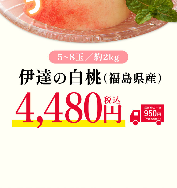 【産地直送】夏のごちそう『伊達の白桃』（福島県産）