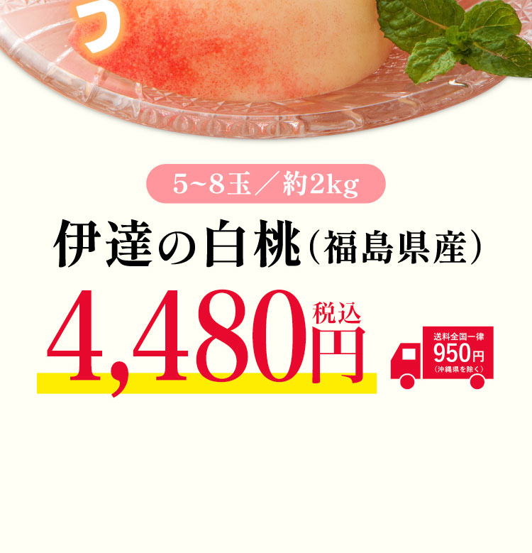 【産地直送】夏のごちそう『伊達の白桃』（福島県産）