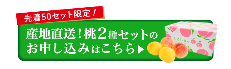 【産地直送】森果樹園さんの食べ比べ 黄金桃＆白桃セット（福島県産）