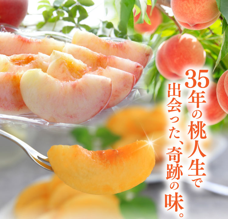 【産地直送】森果樹園さんの食べ比べ 黄金桃＆白桃セット（福島県産）