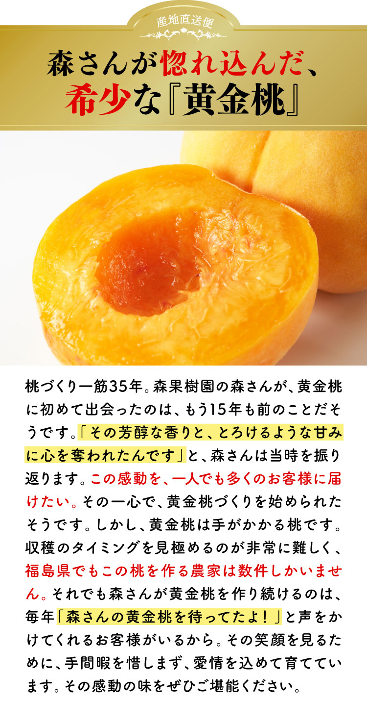 【産地直送】森果樹園さんの食べ比べ 黄金桃＆白桃セット（福島県産）